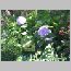 za0162.html